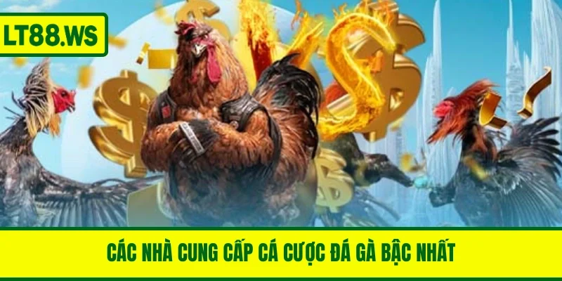 Các nhà cung cấp sản phẩm cá cược đá gà bậc nhất